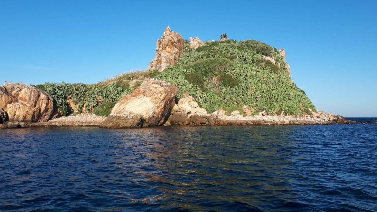 جزيرة بيسان 